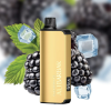 Blackberry Ice Alibarbar INGOT 20000 Puffs