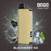 Blackberry Ice Alibarbar INGOT 9000 Puffs