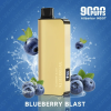 Blueberry Blast Alibarbar INGOT 9000 Puffs