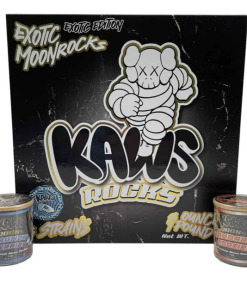 kaws Moonrocks Exotic Edition
