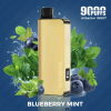 Blueberry Mint Alibarbar INGOT 9000 Puffs