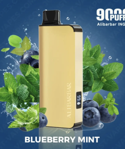 Blueberry Mint Alibarbar INGOT 9000 Puffs